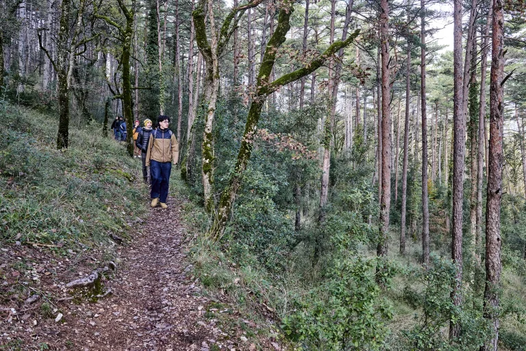 Master-Fac-Formation-Photo-Le-Dandy-Manchot-Art-Albi-006