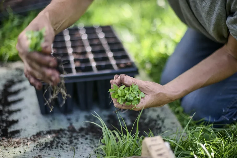 Reportage-Rural-Photo-Le-Dandy-Manchot-creation-Albi-003